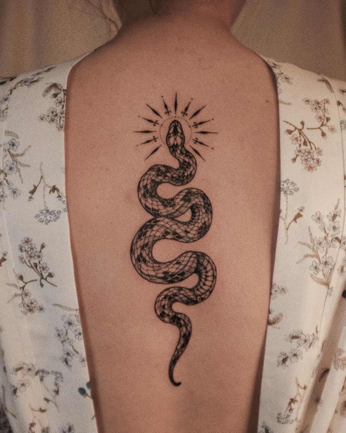 B-003 : Snake