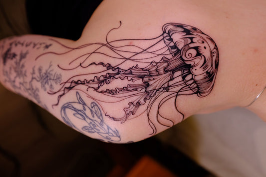 B-006 : Jellyfish on Shoulder