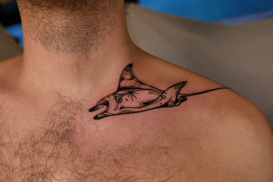 B-001 : Manta Ray