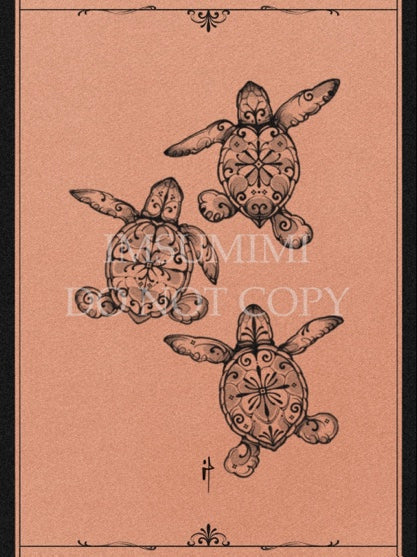 008_Turtle1.2.3